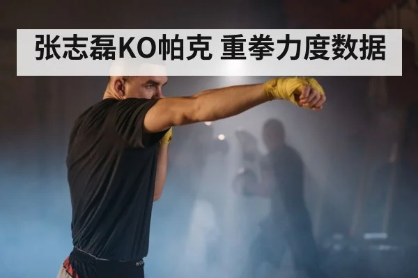 张志磊KO帕克 重拳力度数据