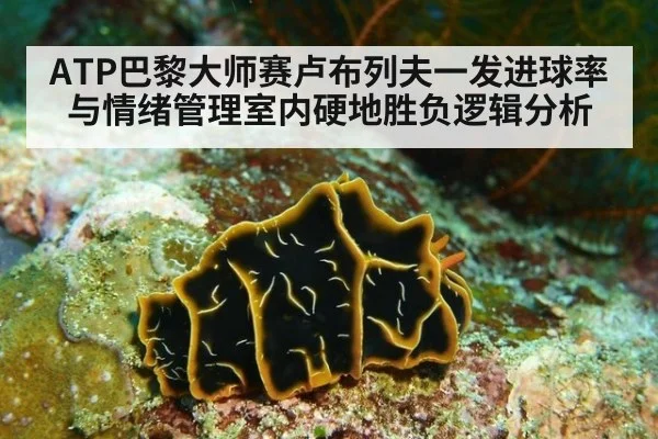 ATP巴黎大师赛卢布列夫一发进球率与情绪管理室内硬地胜负逻辑分析