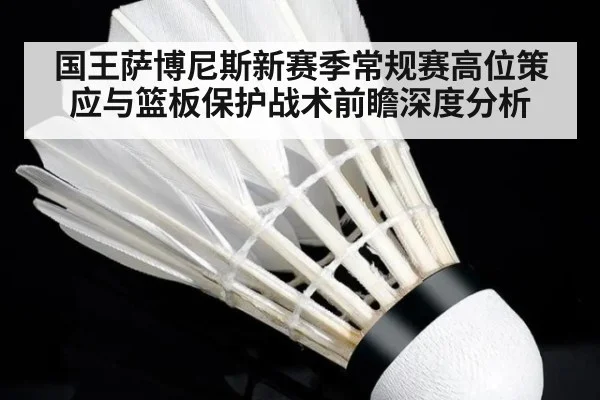 国王萨博尼斯新赛季常规赛高位策应与篮板保护战术前瞻深度分析